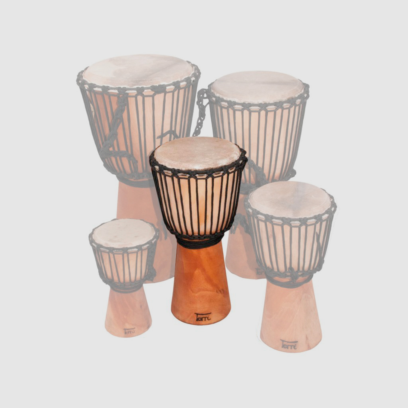 Terré Djembe 50cm Mogno